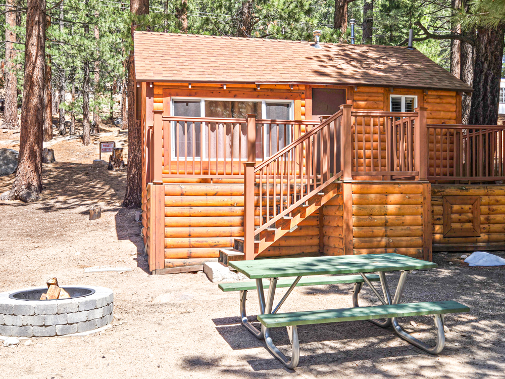 Cabin 1