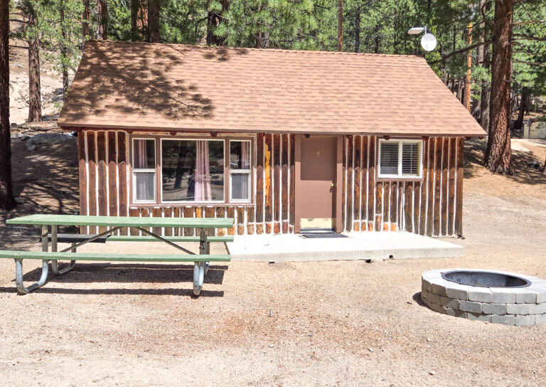 Cabin 4