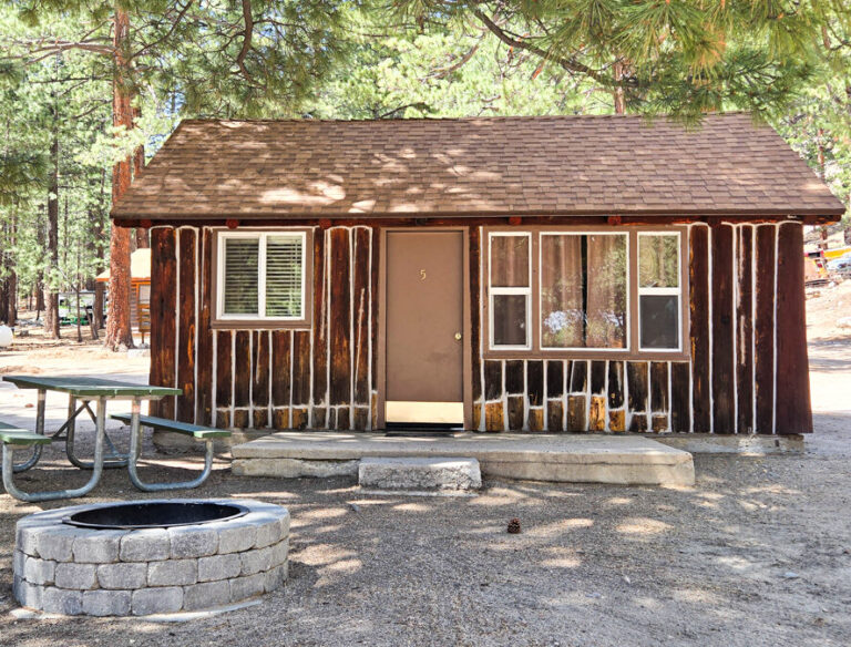 Cabin 5