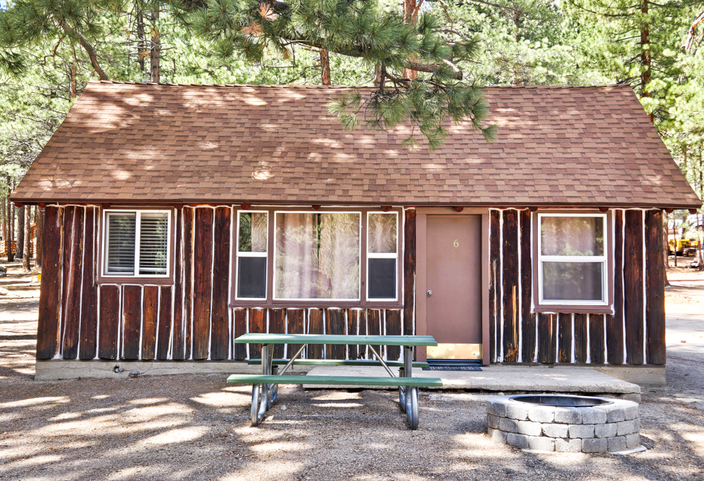 Cabin 6