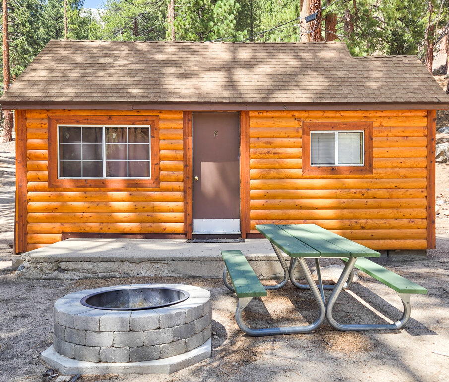 Cabin 8